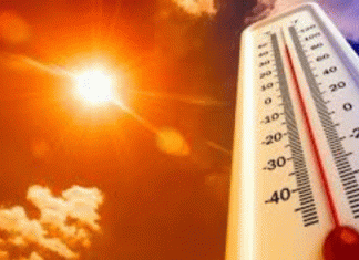 The scorching heat will persecute for two more days, after that the chances of rain