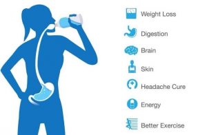 Importance of Water