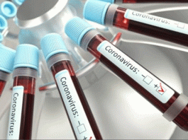 711 new corona cases in Haryana, total number 34965, 421 deaths