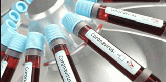 711 new corona cases in Haryana, total number 34965, 421 deaths