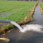 खेत में जबरदस्ती ट्यूबवेल लगाना चाह रहा नपा प्रशासन, एसडीएम से शिकायत Kairana News