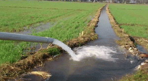 All farmers will get tubewell connection by November
