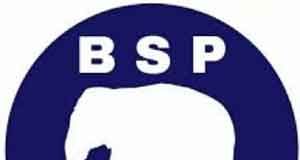 BSP