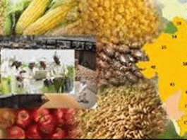 Big ways of barrier free farming