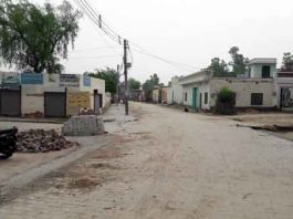 सरपंच बहू ने ‘चकजालू’ को भारत के साथ विश्व में दिलवाई पहचान Chakajalu-Village