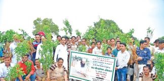 Dera Sacha Sauda is playing an important role in nature conservation