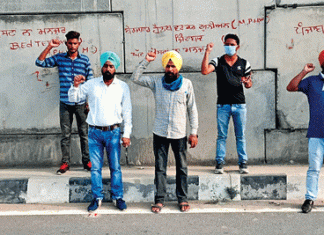 Government bans public mob