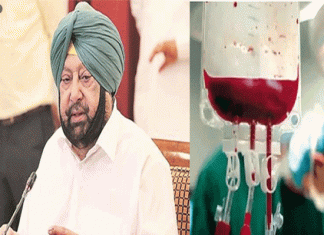 Needy patients of Corona will get plasma free of charge Amarinder
