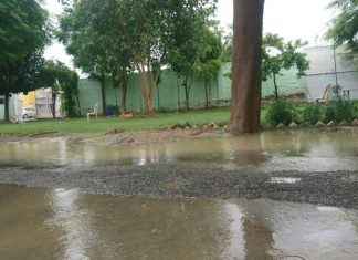 हरियाणा के कई क्षेत्रों में झमाझम बारिश