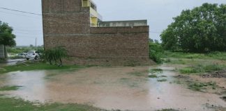 Rain in Haryana