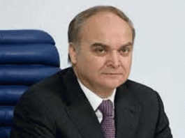 US-Russia can work together on corona treatment Ambassador