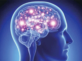 Water is nectar, the brain is made up of more than 75 percent water.