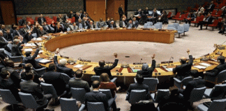 UN Security Council