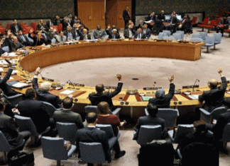 UN Security Council