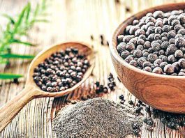 kali mirch ke fayde in hindi - Sach Kahoon