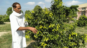 Brijpal, the incharge of the Khyowali power station, has become the flag bearer of the environment