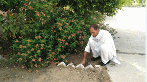 Brijpal, the incharge of the Khyowali power station, has become the flag bearer of the environment