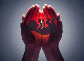 Fetal gender probe gang busted in Narnaul