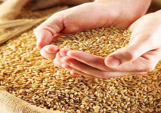 Grain