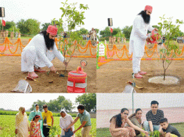 पौधारोपण कर मनाया अवतार दिवस Incarnation Day celebrated by planting trees