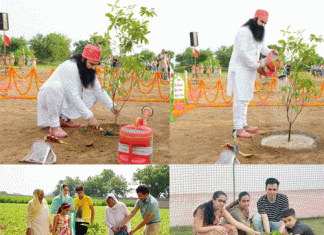 Incarnation Day celebrated by planting trees