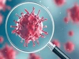 भिवानी में 24 और कोरोना पॉजीटिव मिले corona