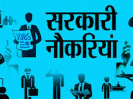 Government Job