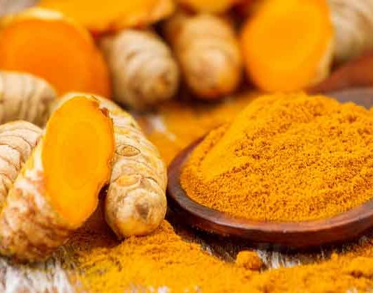 Turmeric Farmers