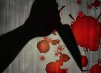 Wife killed by assault with sharp weapon