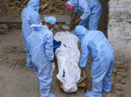 हरियाणा में कोरोना से मौतों का आंकड़ा पहुंचा 1000 1000 deaths from corona reached in Haryana