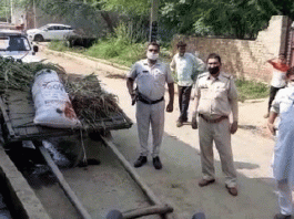 A young man returning from the field with fodder shot dead