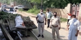 A young man returning from the field with fodder shot dead