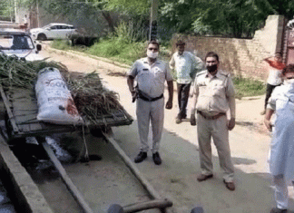 A young man returning from the field with fodder shot dead