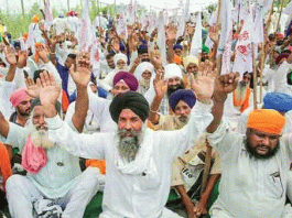 Agricultural bill is harmful for middlemen