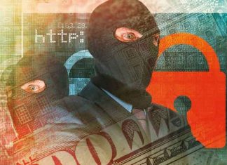 Cyber ​​fraud exposed