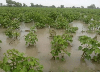 Farmers demanded compensation