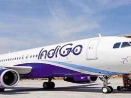 Indigo Flights