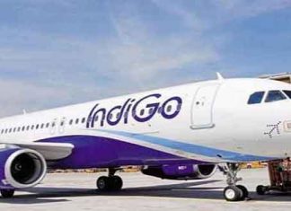 Indigo Flights