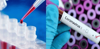 More than 10 million samples of corona tested in nine days