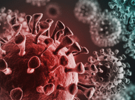 50 corona infected in Bhiwani, seven patients recover - Sach Kahoon News