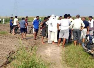 ex-soldier Body Found