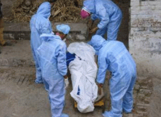 पंजाब में कोरोना से 29 लोगों की मौत 29 people died due to corona in Punjab