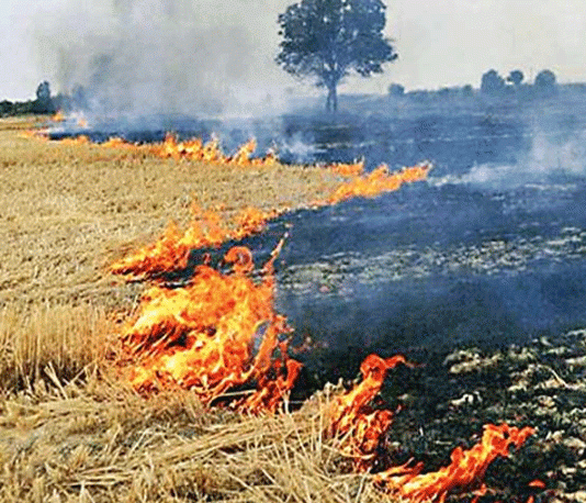 जागरूकता से ही रूकेंगी पराली जलाने की घटनाएं Hanumangarh News