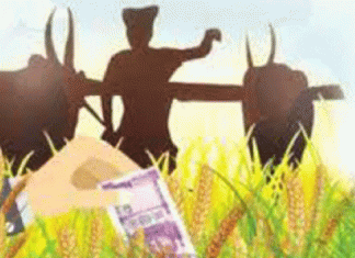 Crops Payment
