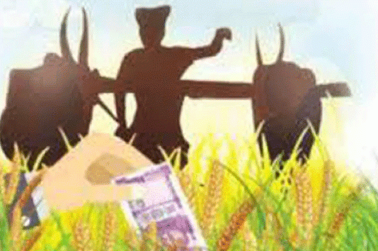 फसलों के भुगतान में न हो राजनीति Crops Payment