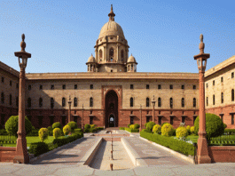 Constitutional system of President's rule