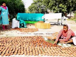 गाय के गोबर से बना दीया करेगा घर रोशन Cow dung lamp