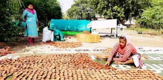 Cow dung lamp