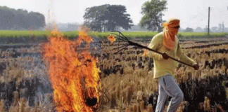 Five, three and two lakh prizes will be given to panchayats that do not burn stubble