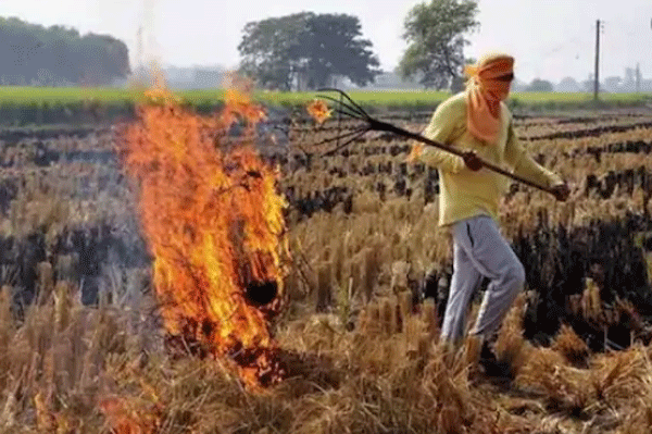 Five, three and two lakh prizes will be given to panchayats that do not burn stubble